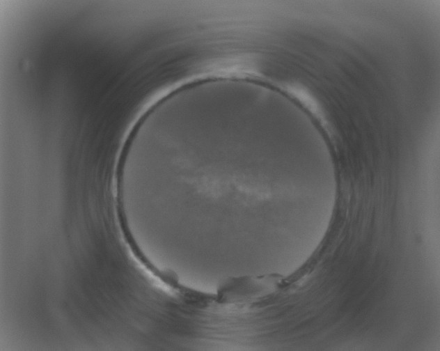 X0000081361335200702082310