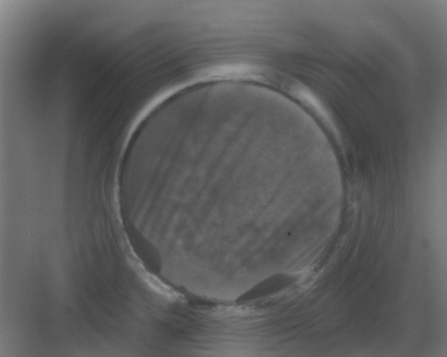 X0000081361336200702082310