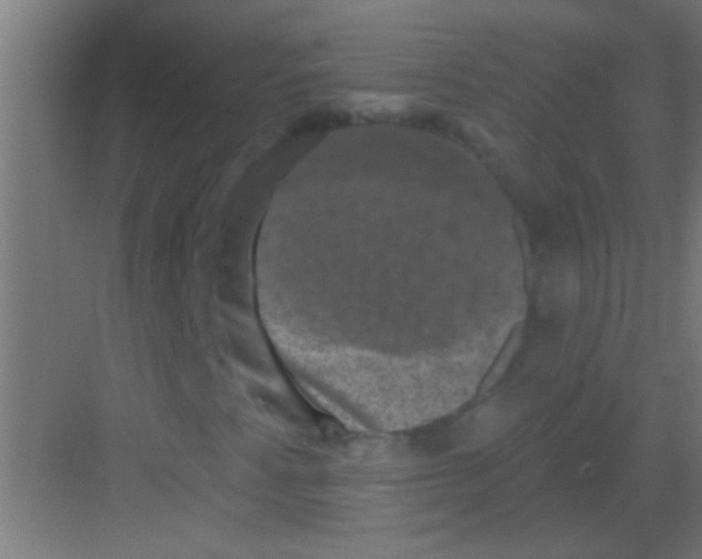 X0000081361345200702082310