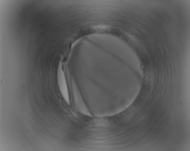X0000081361346200702082310