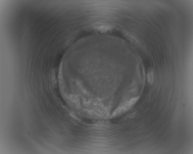 X0000081361347200702082310