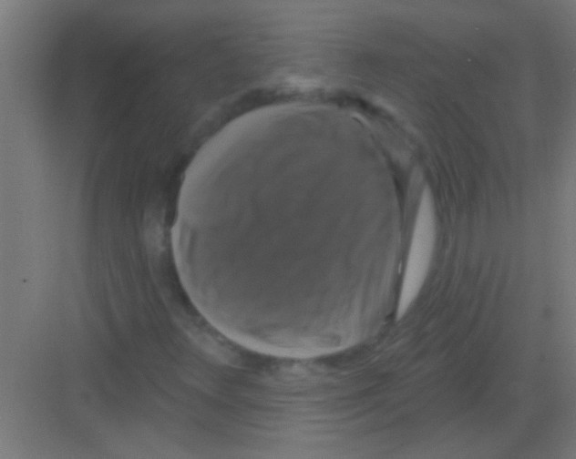 X0000081361348200702082310