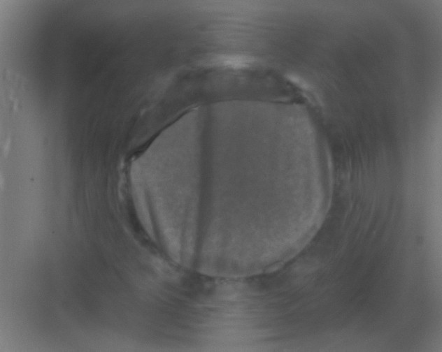 X0000081361349200702082310