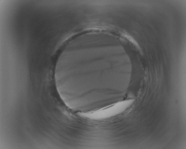 X0000081361352200702082310