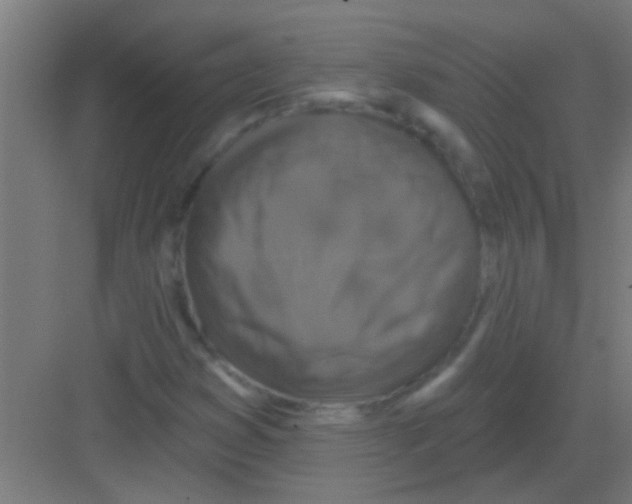 X0000081361353200702082310