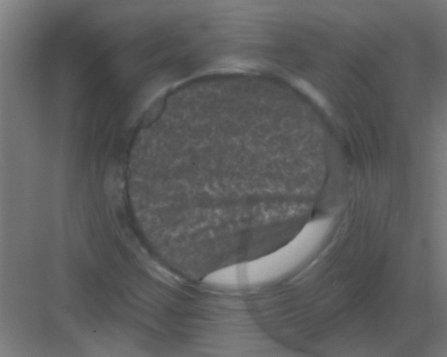 X0000081361355200702082310