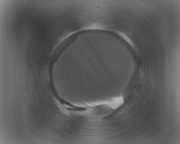 X0000081361356200702082310