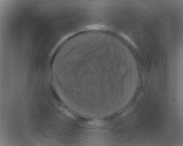 X0000081361358200702082309