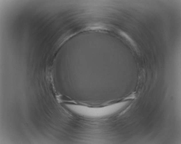 X0000081361361200702082309