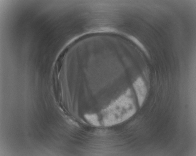 X0000081361364200702082309