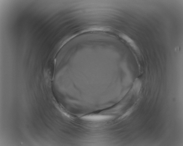 X0000081361369200702082309