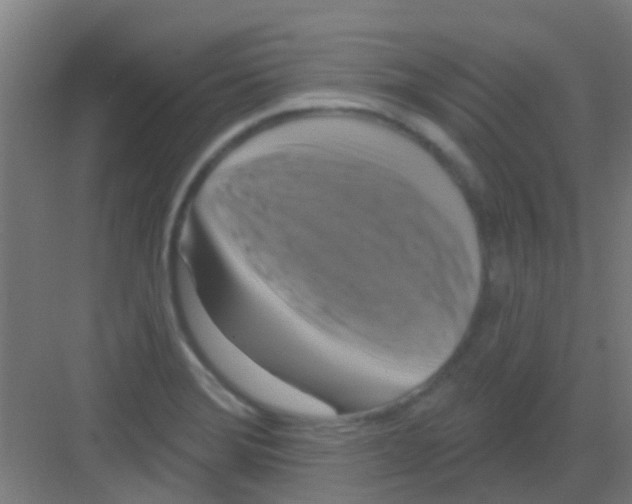 X0000081361372200702082309