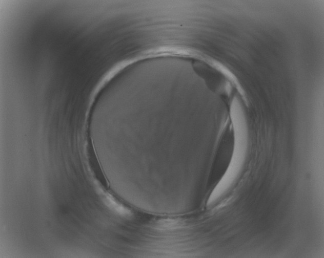 X0000081361373200702082309