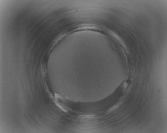 X0000081361377200702082309