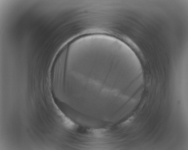X0000081361380200702082309