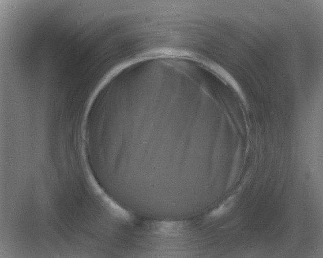 X0000081361381200702082309