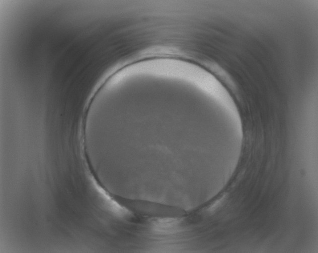 X0000081361382200702082309
