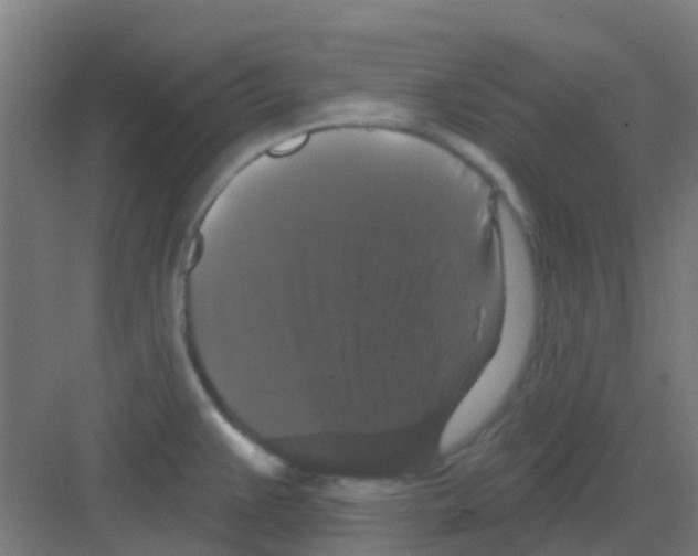X0000081361383200702082309