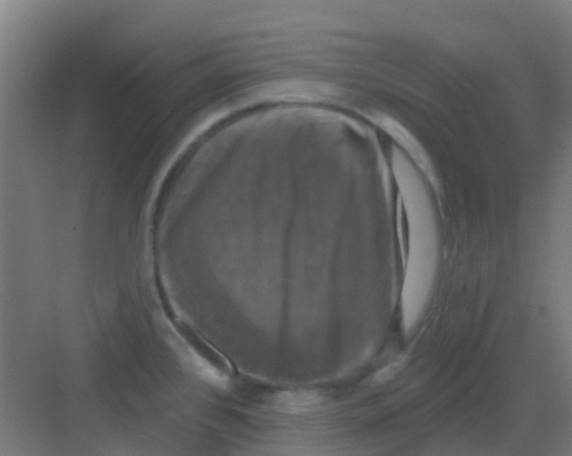 X0000081361384200702082309