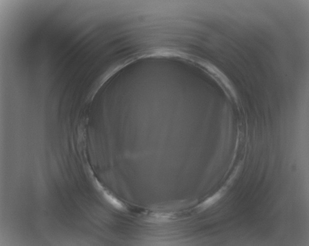 X0000081361385200702082309