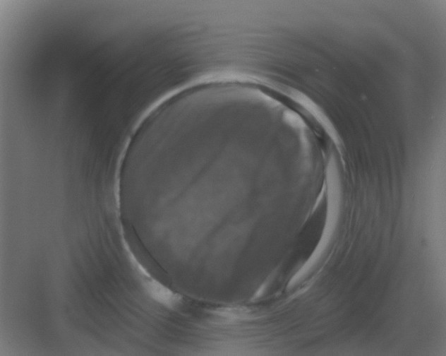 X0000081361388200702082309