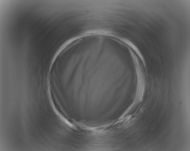 X0000081361389200702082309