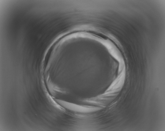X0000081361392200702082309