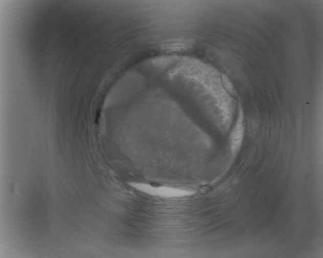 X0000081361393200702082308