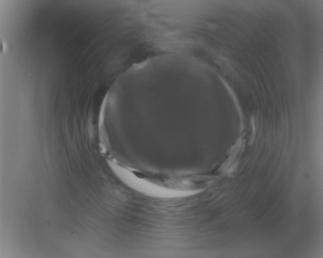X0000081361394200702082308