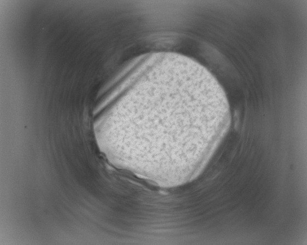 X0000081361395200702082308