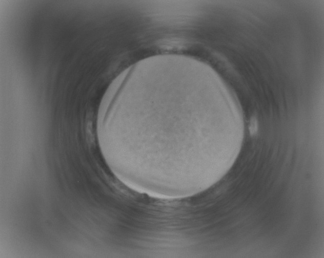 X0000081361396200702082308