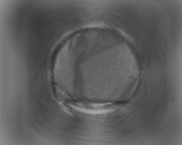 X0000081361400200702082308