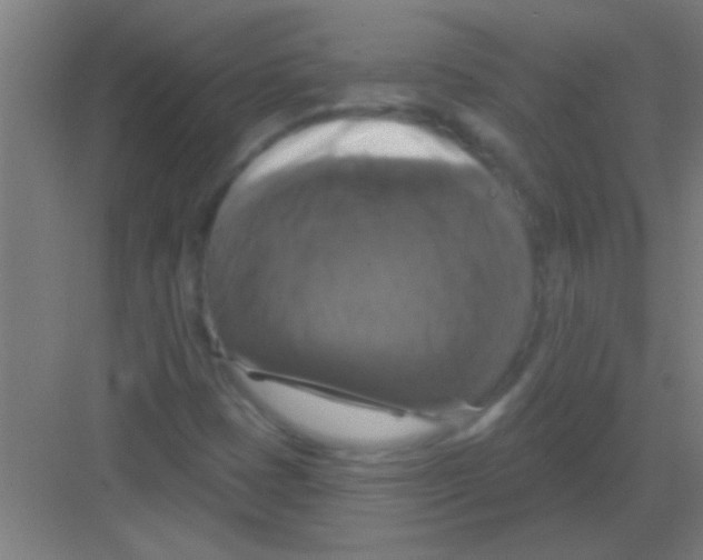 X0000081361401200702082308