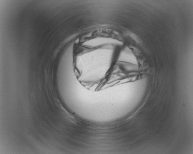 X0000081361402200702082308