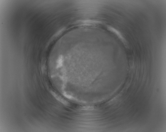 X0000081361403200702082308