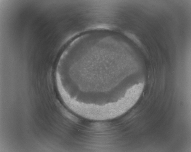 X0000081361404200702082308