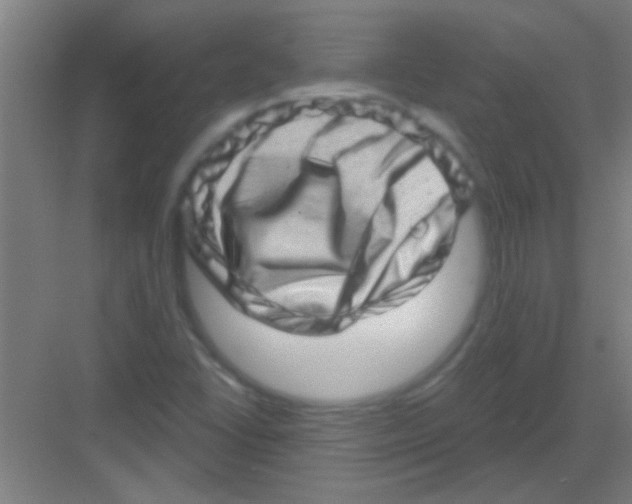 X0000081361406200702082308