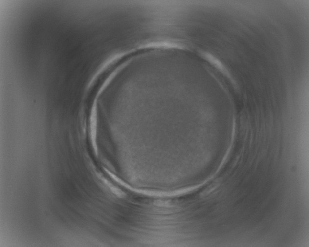 X0000081361408200702082308