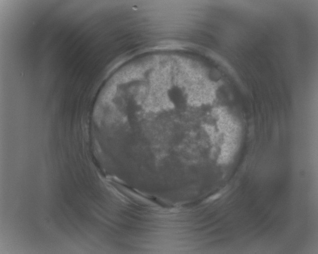 X0000081361409200702082308