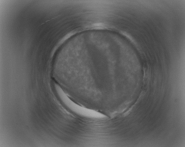 X0000081361410200702082308