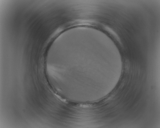 X0000081361411200702082308