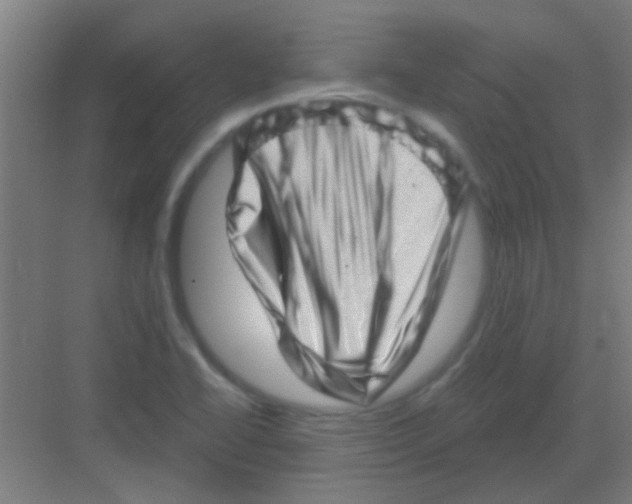 X0000081361414200702082308