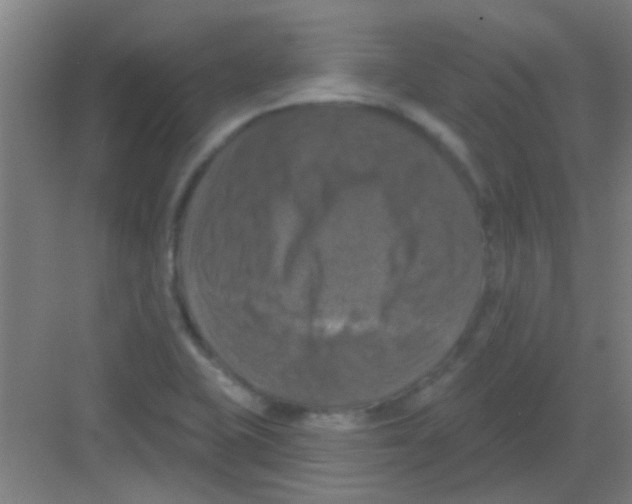 X0000081361415200702082308