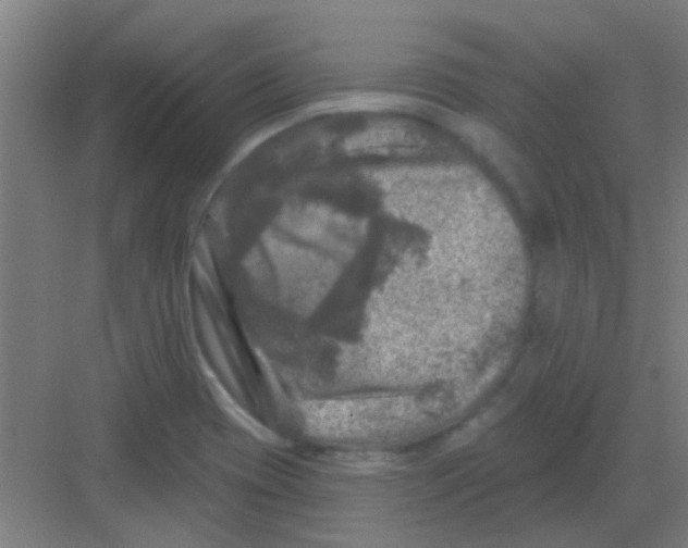X0000081361417200702082309