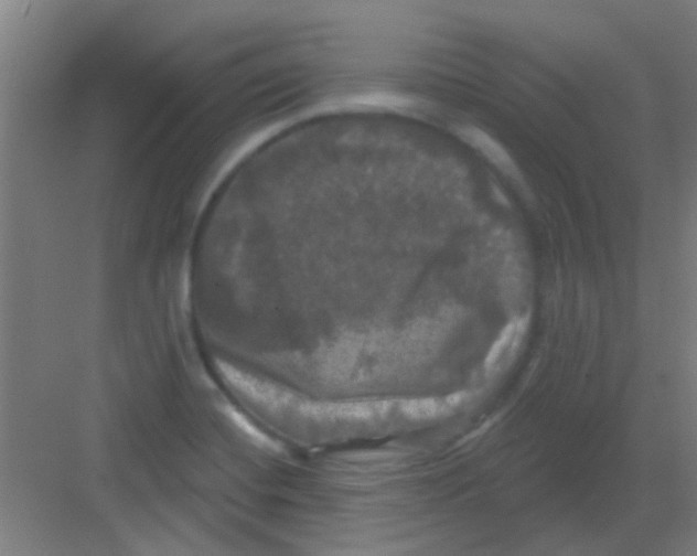 X0000081361420200702082309