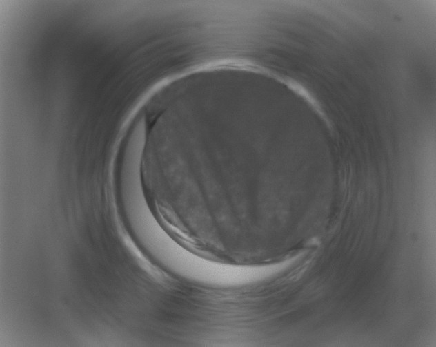 X0000081361422200702082309