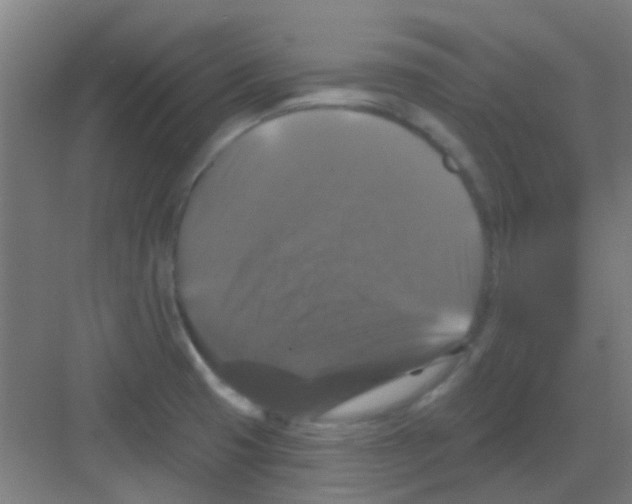X0000081361425200702082309