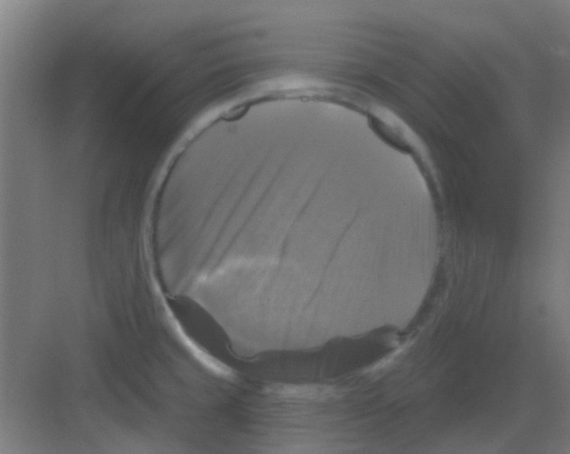X0000081361429200702082309