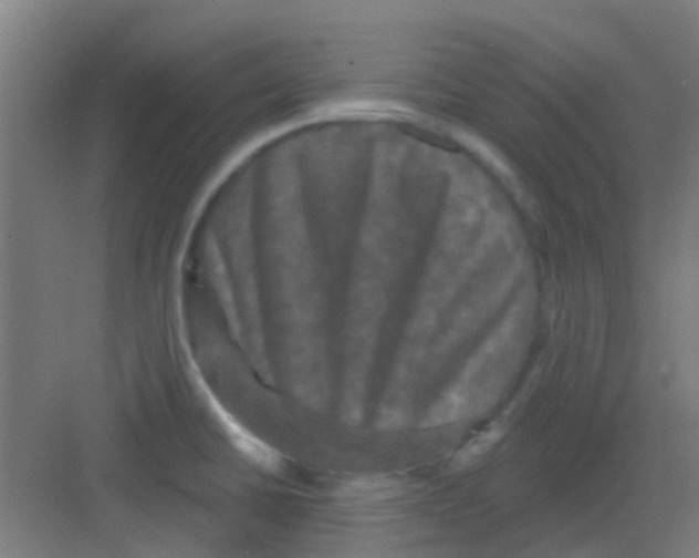 X0000081361430200702082309