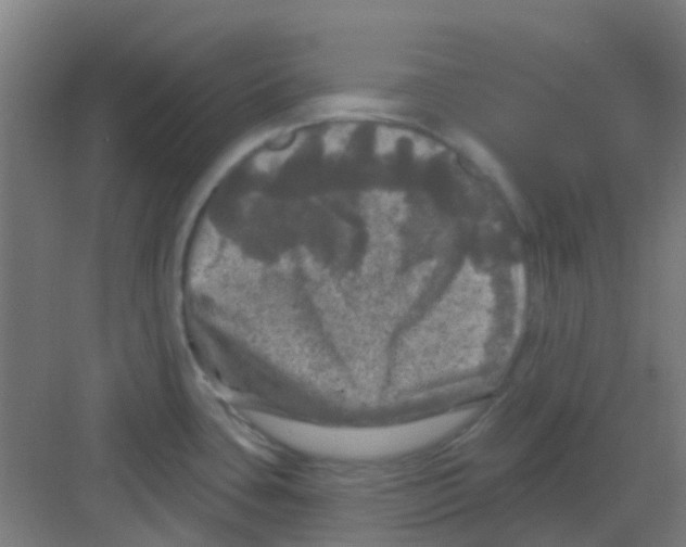 X0000081361435200702082309